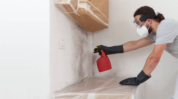 Professional Commercial Mold Remediation technician working in Levittown, NY